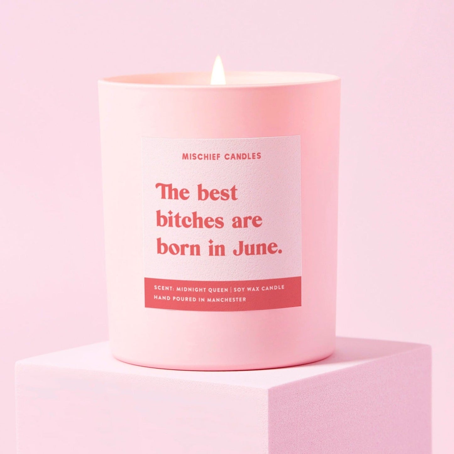 June Birthday Gift Funny Birthday Gift Candle June Birthday Bitch