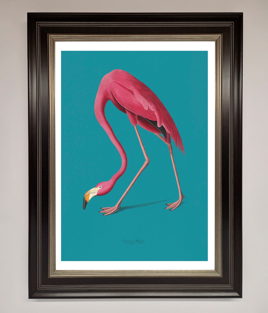 Flamingo Walks Blue Framed Print