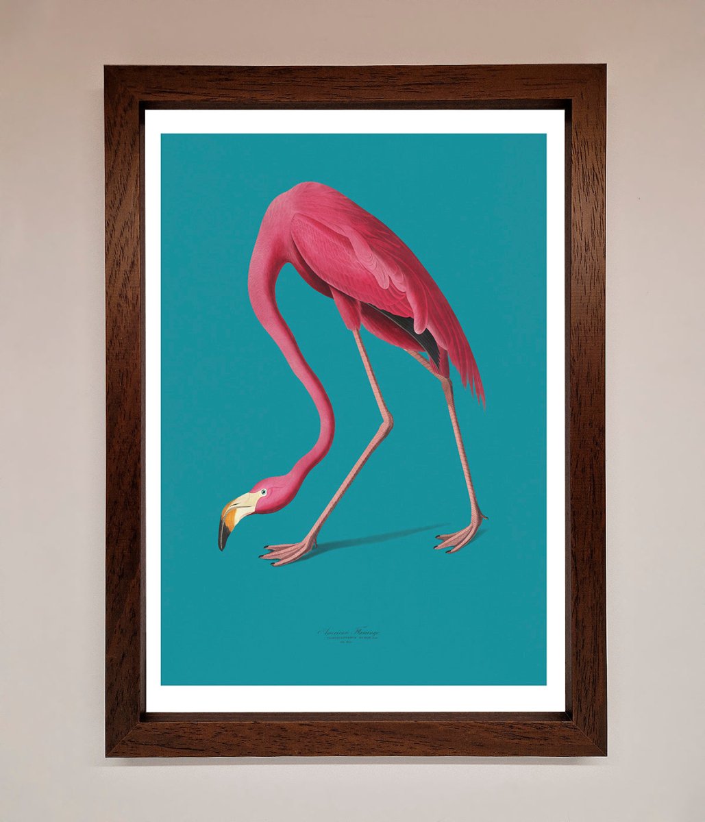Flamingo Walks Blue Framed Print