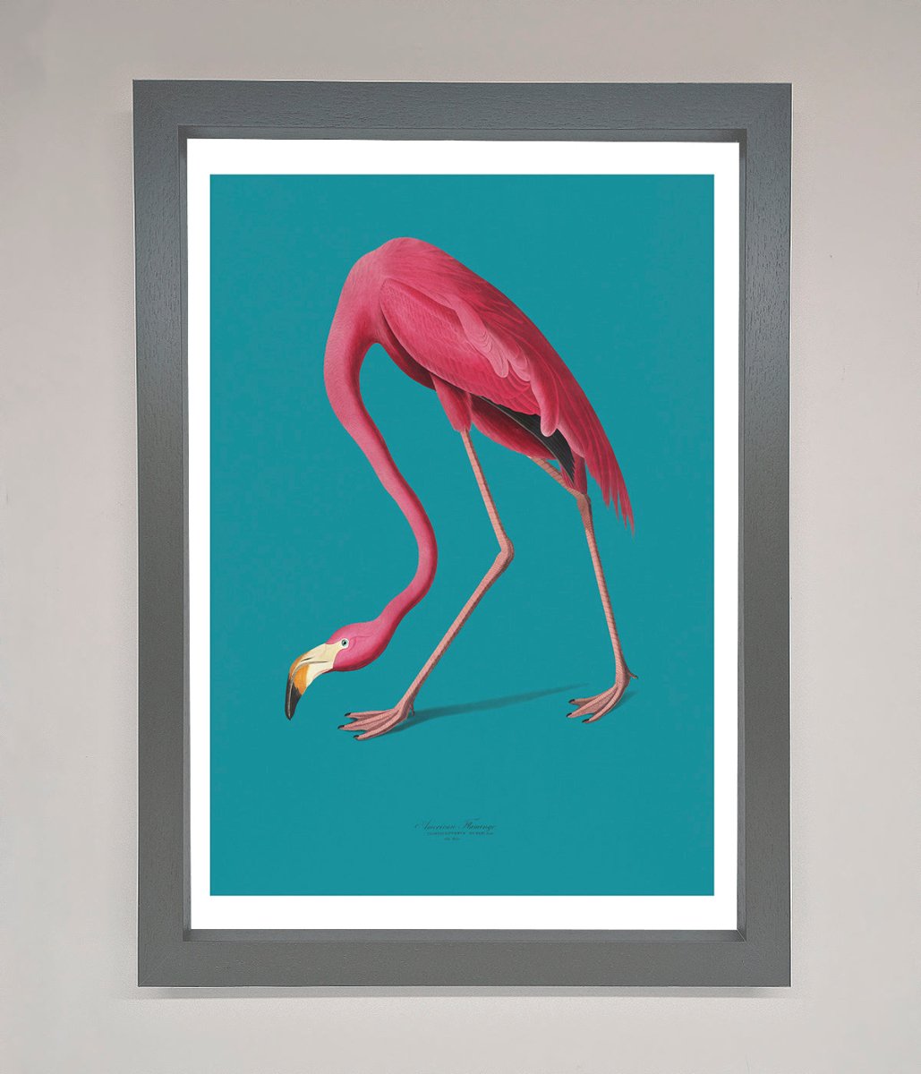 Flamingo Walks Blue Framed Print