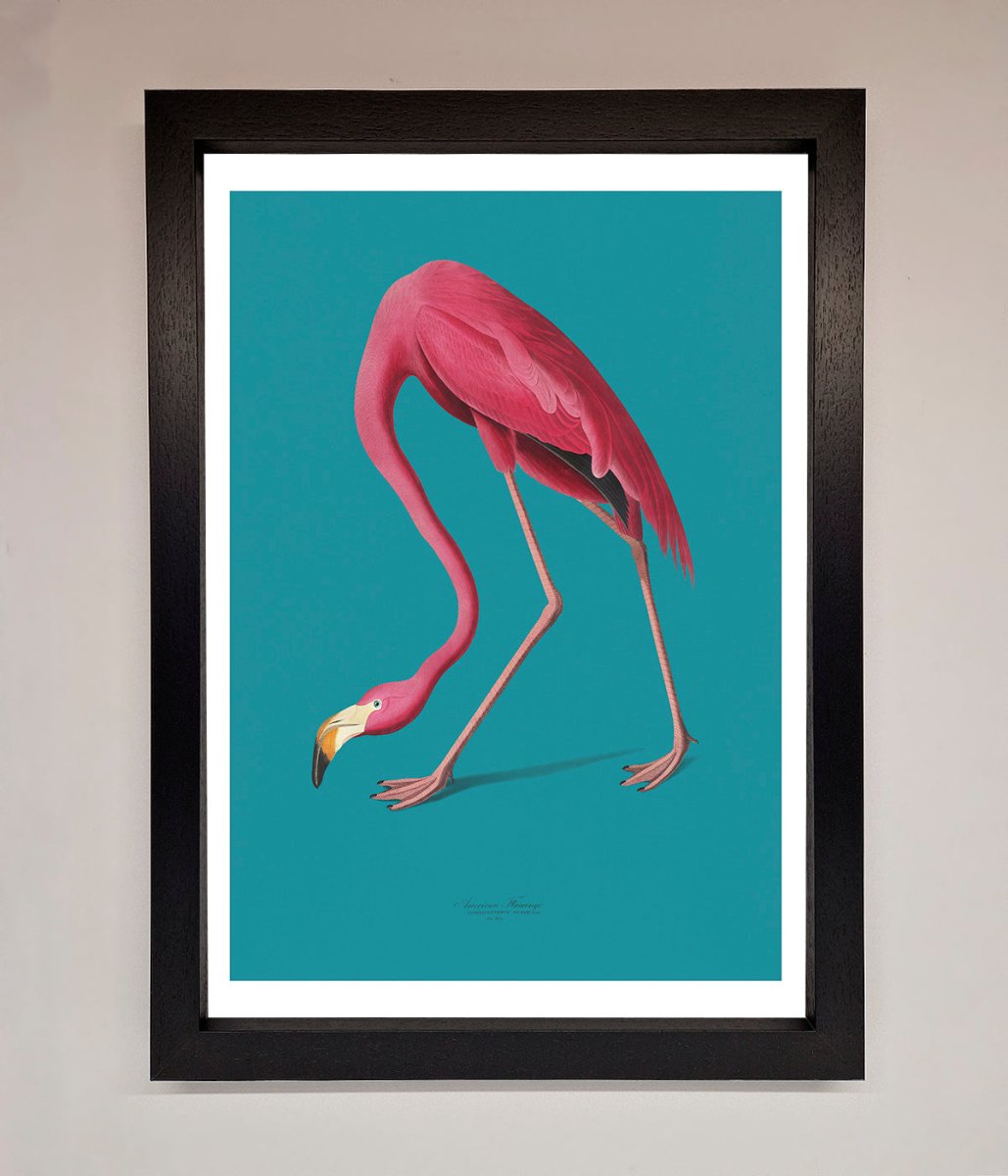 Flamingo Walks Blue Framed Print