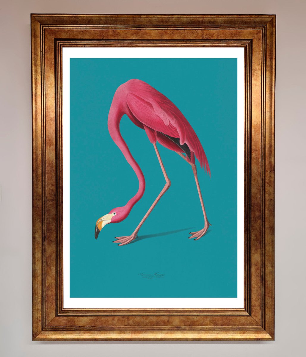 Flamingo Walks Blue Framed Print